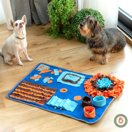 Alfombra Olfativa Patuko — Diversión, Calma y Menos Ansiedad para tu Perro