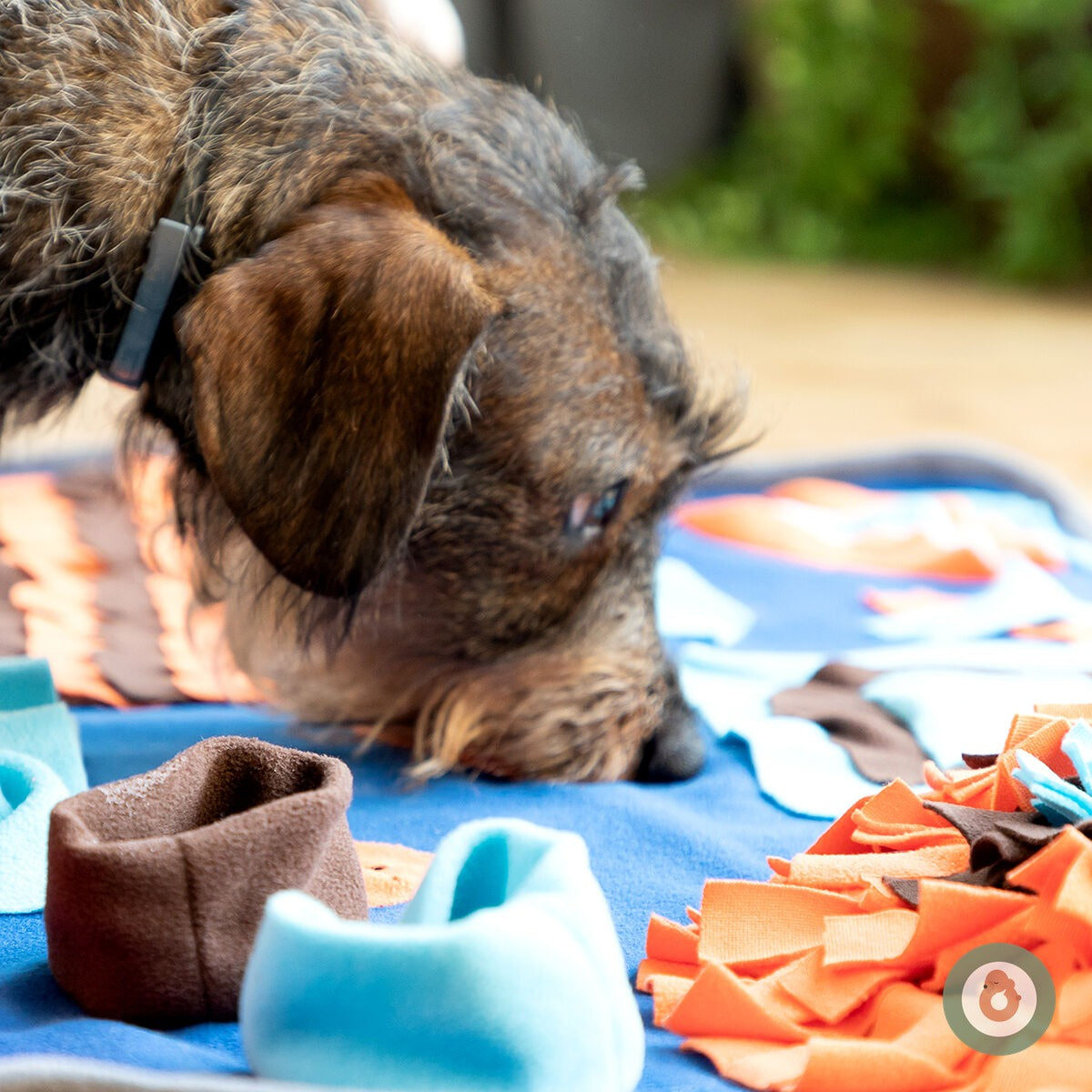 Alfombra Olfativa Patuko — Diversión, Calma y Menos Ansiedad para tu Perro