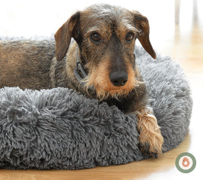 Cama Antiestrés Patuko — Calma y Descanso Profundo para tu Perro